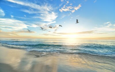 Die besten Strände zwischen Nerja und Marbella: Versteckte Schätze & Küsten-Hotspots an der Costa del Sol